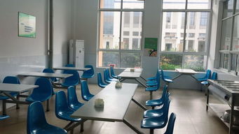 增強食品安全意識樹立餐飲行業典型，桐溪幼兒園入列A級餐飲服務單位